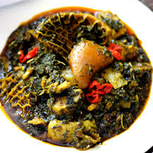 Soup of the Day